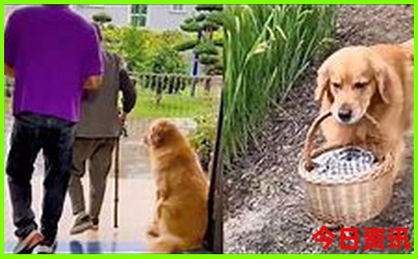 昆明必去的10个景点